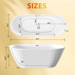 DLESSA C-5288 59 in Oval Acrylic Freestanding Bathtub