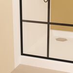 DLESSA PF-101 34 x 72 in Framed Shower Panel