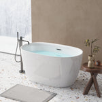 DLESSA C-3249 Acrylic Bathtub