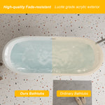 DLESSA C-5288 59 in Oval Acrylic Freestanding Bathtub