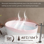 DLESSA C-3249 Acrylic Bathtub